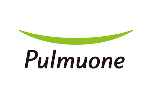 The image shows the Pulmuone logo, featuring a black, stylized text reading "Pulmuone" below a curved green line on a white background.