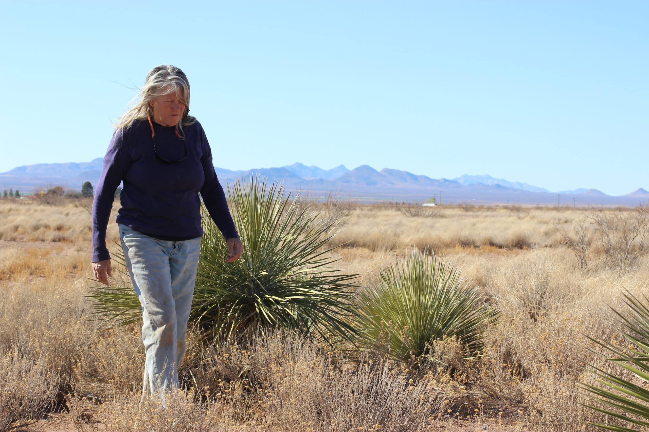A woman walks through a dry, grassy desert landscape with distant mountains under a clear blue sky. She wears a dark long-sleeve shirt and jeans, with sunglasses hanging from her neckline. Surrounding vegetation includes sparse shrubs and yucca plants.