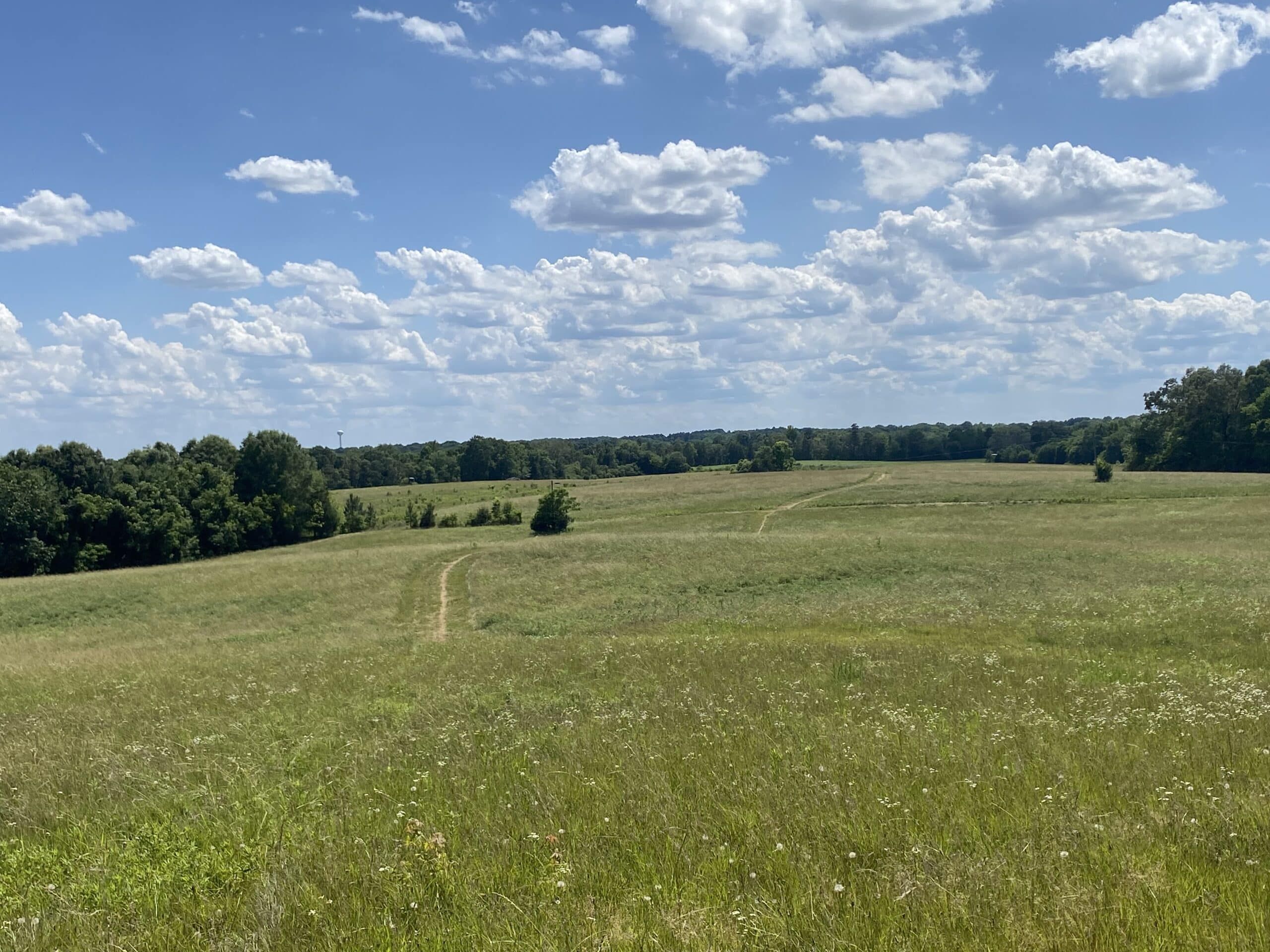 Expansive grassy field under a blue sky with scattered clouds. A narrow dirt path meanders through the grass, surrounded by trees at the horizon.