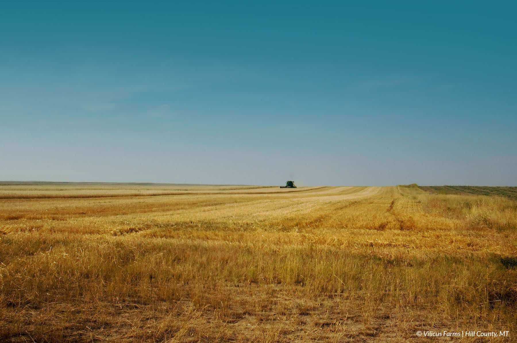 Benefits of Organic & Regenerative Agriculture. Image of Vilicus Farm fields