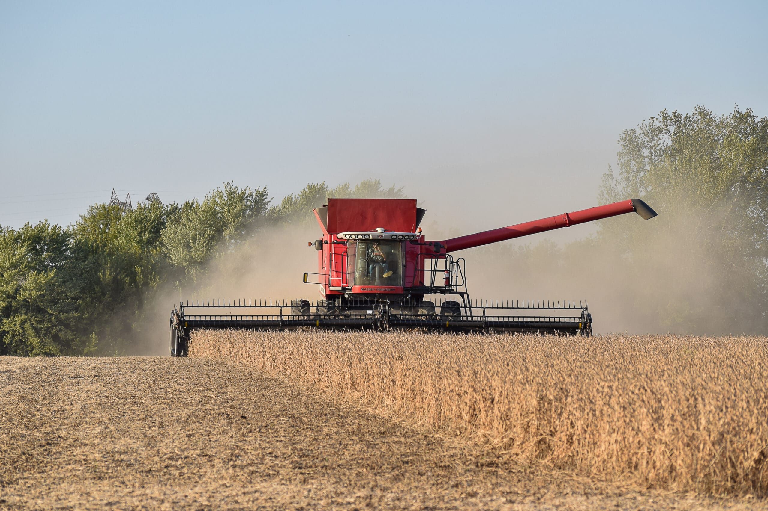 A red combine harvester works in an organic field, cutting and collecting crops. Dust rises as it moves forward, surrounded by rows of golden plants nurtured by regenerative practices. Trees are visible in the background under a clear blue sky.