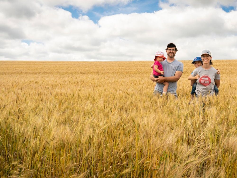 A family of four stands in a vast wheat field under a cloudy sky. The father holds a young child in pink, while the mother stands beside him with a young child in blue. Both parents wear casual hats and smile at the camera.