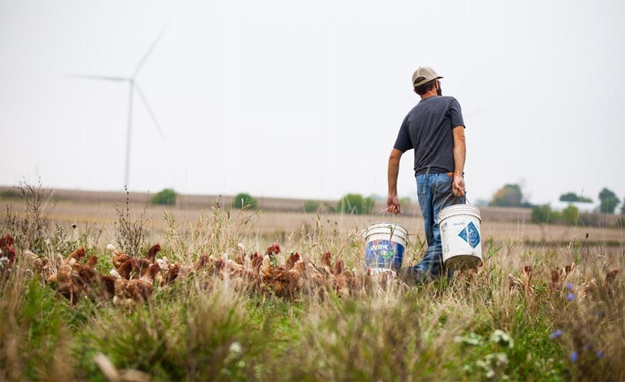 farmer carrying buckets