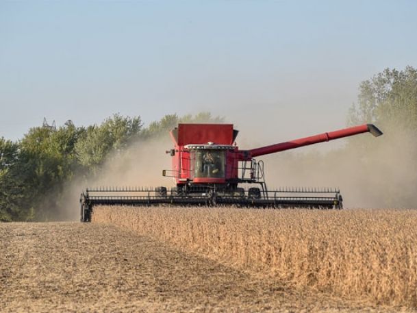 A red combine harvester operates in a field under a clear blue sky, cutting golden crops. Dust is visible behind the machine, and green trees are seen in the background.