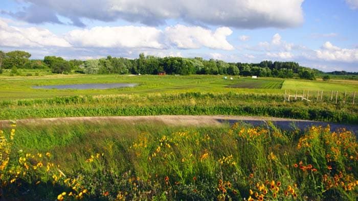 farm overview with sky