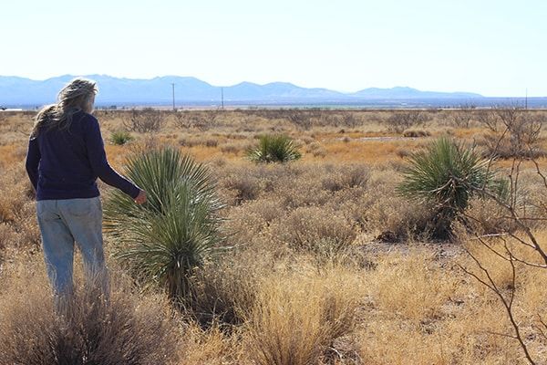 A person with long gray hair, wearing a dark shirt and light pants, stands in a dry, grassy desert landscape with scattered bushes and distant mountains under a clear sky.