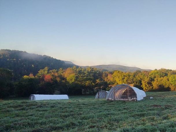 A scenic view of a grassy field with several greenhouse-like structures. In the background, there are lush green trees and distant mountains under a clear blue sky. Mist lightly covers parts of the landscape.