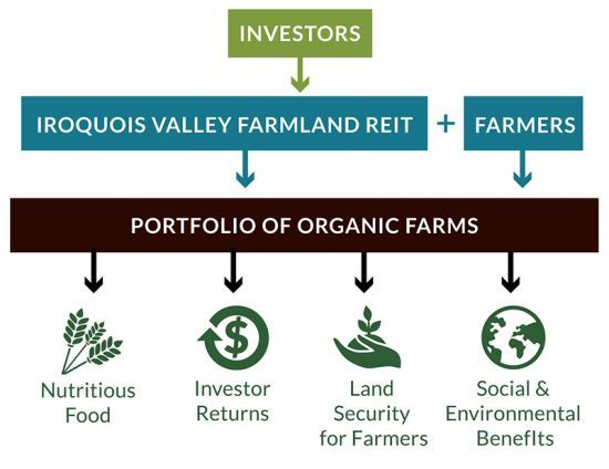 Iroquois Valley Farmland REIT Financial Model Infographic