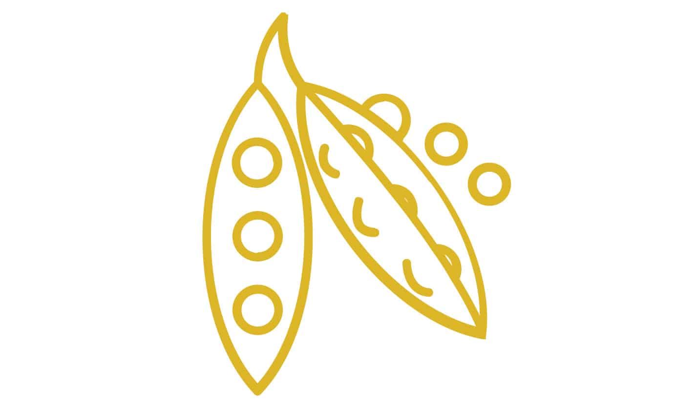 A simple yellow line drawing of two pea pods, one opened to show peas inside, and a few loose peas next to it, on a white background.