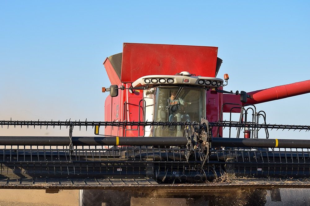 A large red combine harvester harvesting a crop in a field under a clear blue sky, viewed from the front. The machine's wide cutting header and operator's cab are clearly visible.