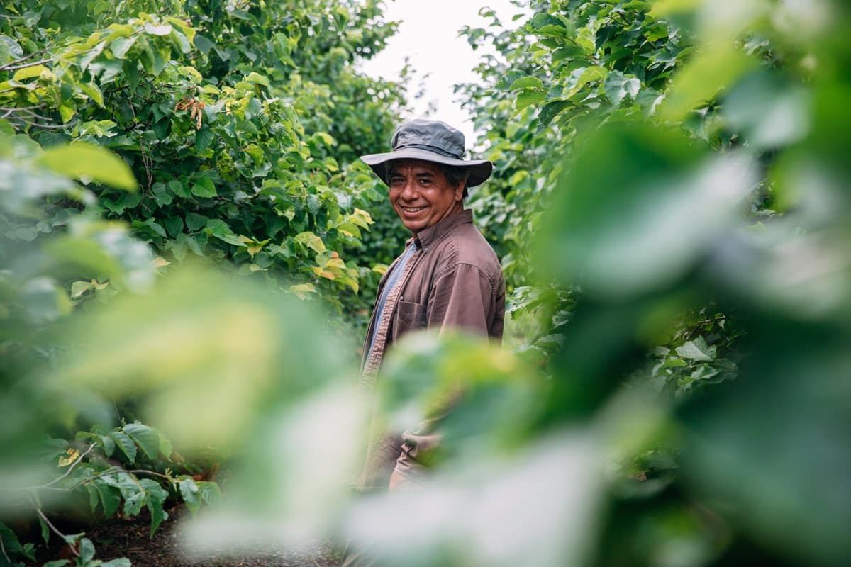 A man wearing a hat and a brown jacket smiles while standing among lush green bushes, with leaves framing the foreground.