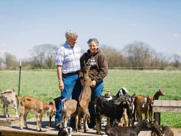 An older couple stands on a wooden platform in a grassy field surrounded by goats. The man wears a plaid shirt, and the woman wears a hoodie. A goat stands on its hind legs, interacting with the woman. A wire fence and trees are in the background.