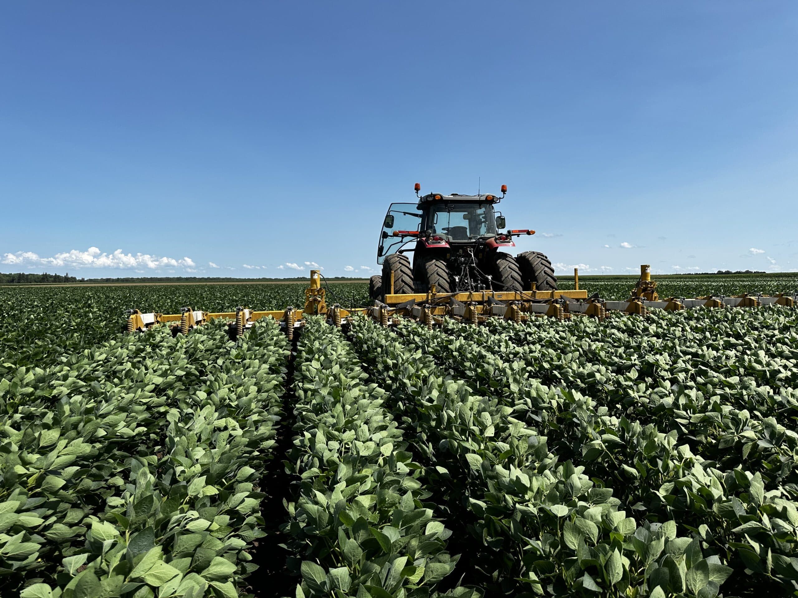 A red tractor with large tires is driving through rows of green crops in a vast field under a clear blue sky, with dense foliage and open farmland stretching into the distance.
