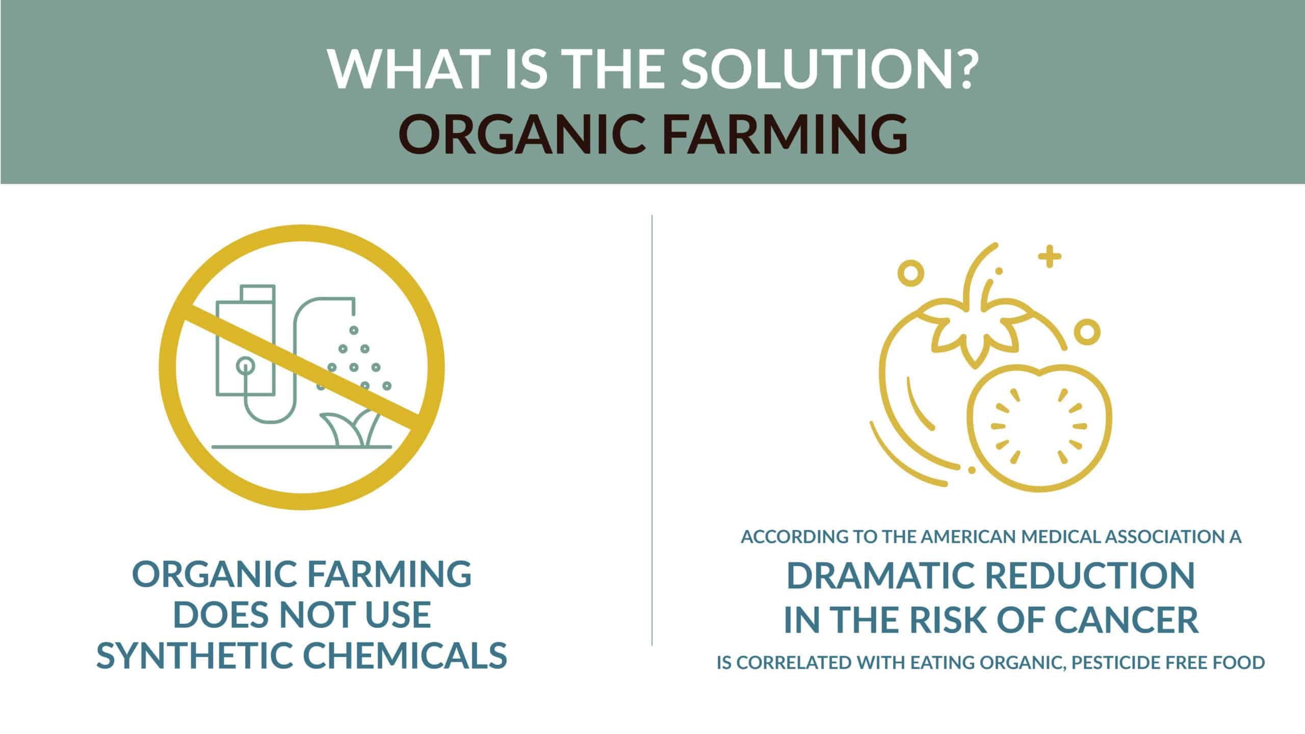 Infographic about organic farming showing that it does not use synthetic chemicals and claims, according to the American Medical Association, it dramatically reduces cancer risk when eating organic, pesticide-free food.