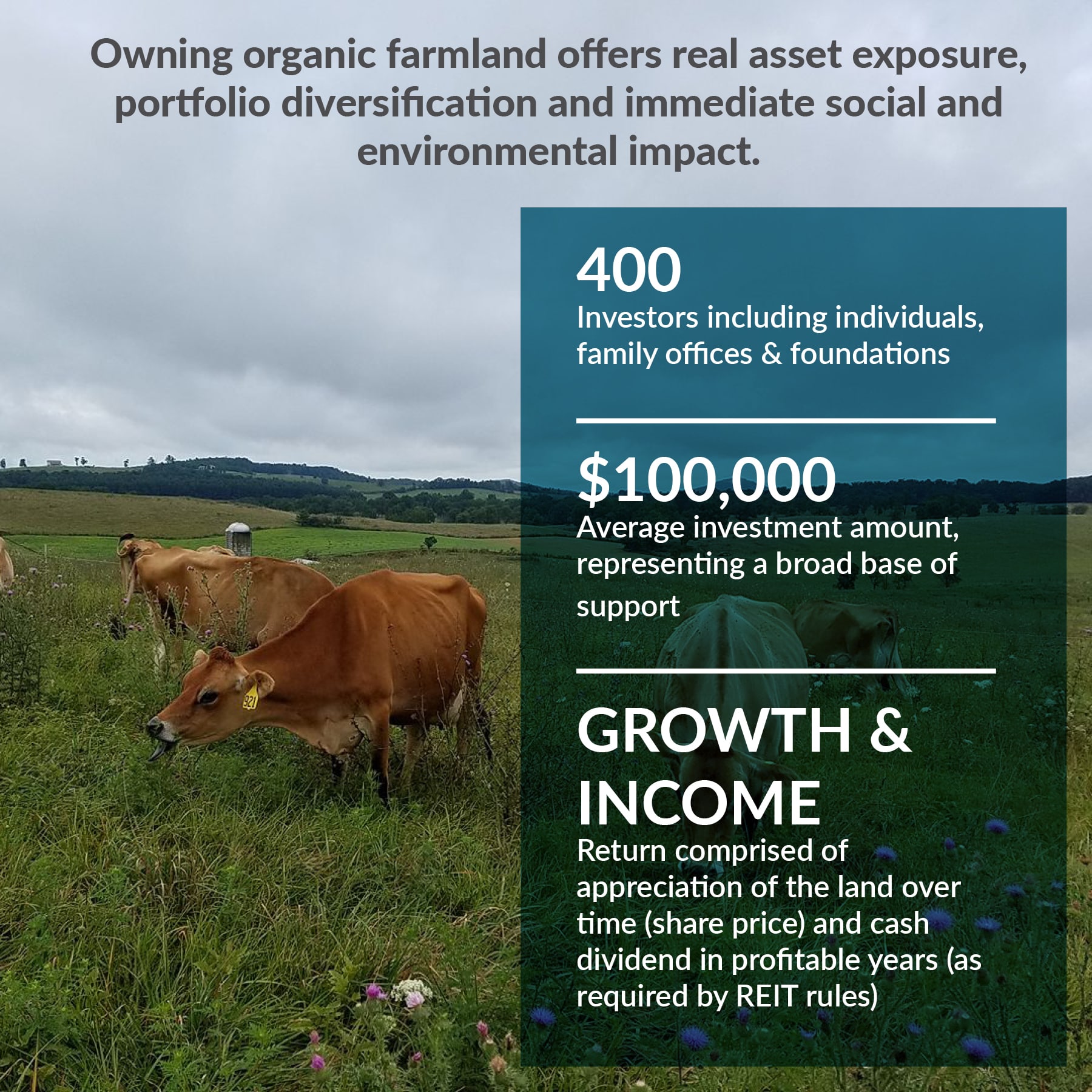 REIT Iroquois Valley Farmland REIT