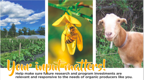 Survey participation graphic that says "Your input matters! Help make sure future research and program investments are relevant and responsive to the needs of organic producers like you."