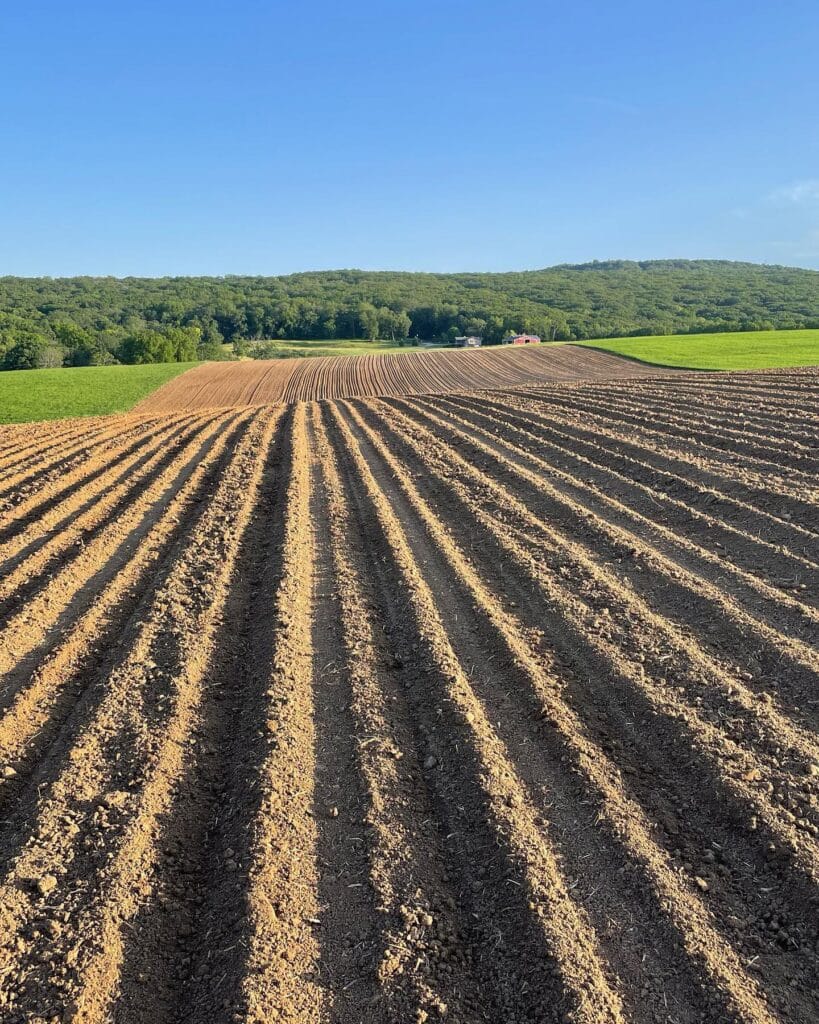 A plowed field with even rows stretches towards a distant tree-covered hill under a clear blue sky. The soil, rich and freshly turned, is ready for planting using organic methods. In the distance, a small red tractor signifies the commitment to regenerative agriculture.