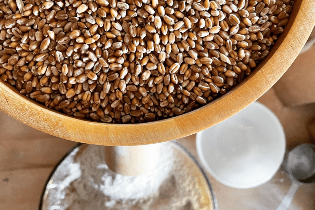 A top view of an organic wooden bowl filled with wheat grains rests on the table. Below, a dish with white flour and a partially visible white bowl are seen. The well-lit scene highlights the regenerative texture of the grains, emphasizing their natural beauty.