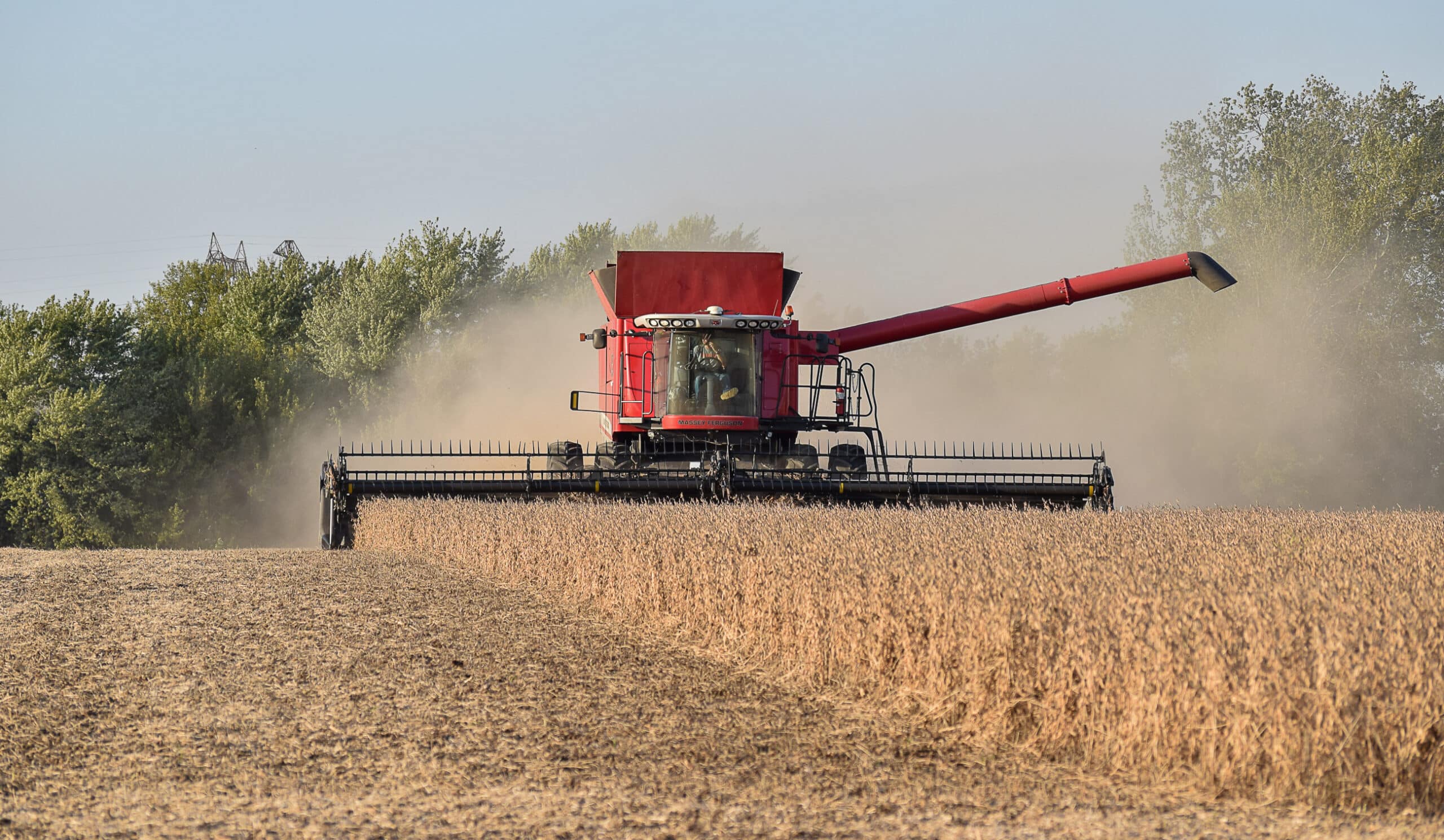 A red combine harvester moves through a field, harvesting crops. Dust rises behind it as it cuts through the brown plants. Trees and a clear blue sky form the backdrop.