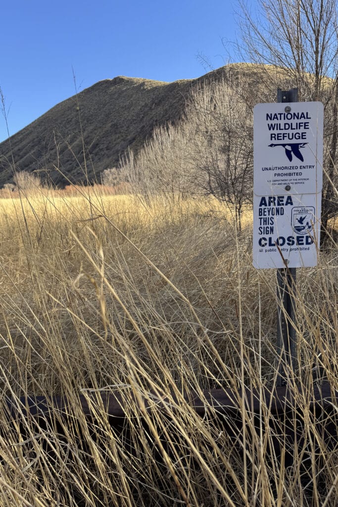 A sign in tall dry grass reads "National Wildlife Refuge, Unauthorized Entry Prohibited, Area Beyond This Sign Closed." In the background, a bare tree and a sloping, grassy hill are visible under a clear blue sky.