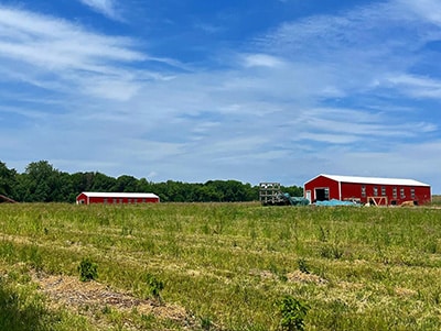 A grassy field with two large red barns in the distance under a partly cloudy blue sky, bordered by green trees along the horizon.