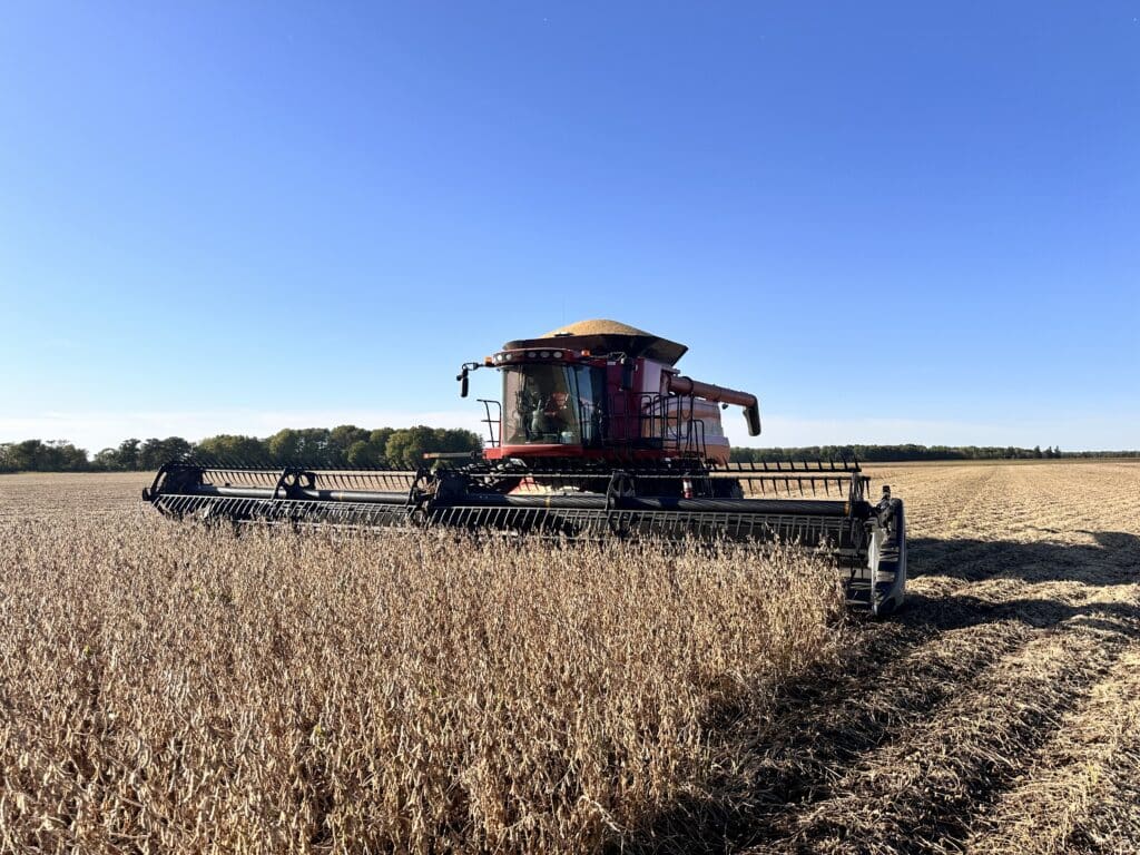 A red combine harvester moves through a golden field under a clear blue sky, harvesting crops with trees visible in the distant background.