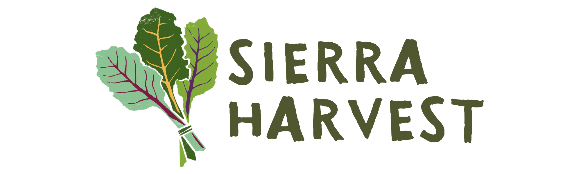 Logo for Sierra Harvest featuring an illustrated bundle of leafy greens tied together, with the words "Sierra Harvest" written in bold, green letters to the right of the vegetables.