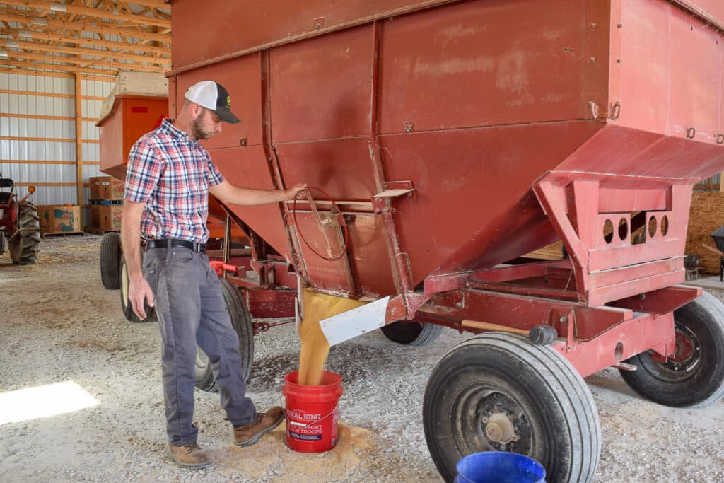 A man in a plaid shirt and cap stands next to a large red grain cart, filling a red bucket with grain inside a barn. The grain is pouring from a chute at the bottom of the cart.