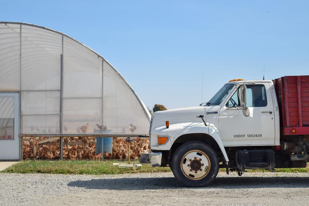 A white truck is parked on a gravel surface beside a greenhouse filled with chickens. The sky is clear and blue, suggesting a sunny day on a poultry farm.