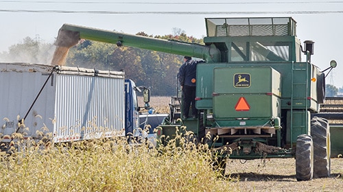 A green combine harvester unloads harvested grain into a white semi-trailer truck in a field, with a driver operating the machinery and autumn trees visible in the background.