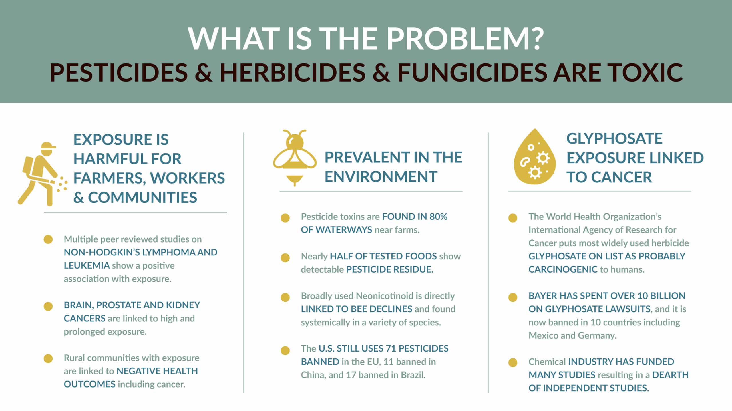Infographic explaining that pesticides, herbicides, and fungicides are toxic, harming farmers, workers, and communities, are prevalent in the environment, and glyphosate exposure is linked to cancer, with supporting facts and statistics.