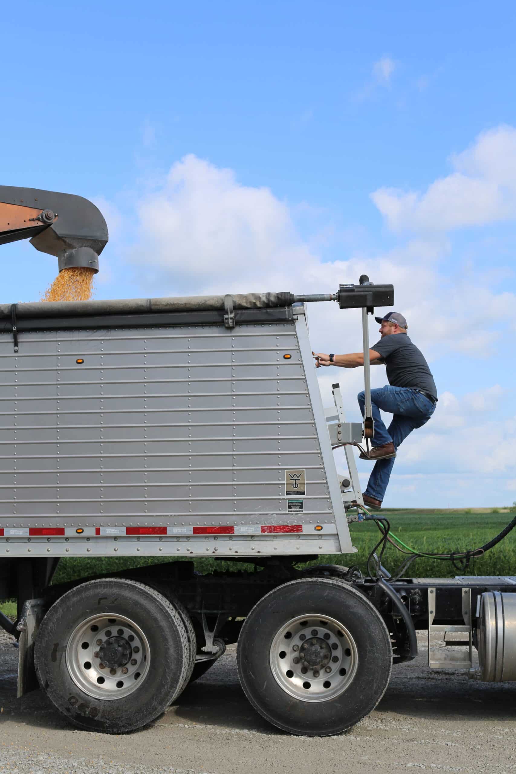 A man climbs the side ladder of a large silver truck trailer while corn pours into the trailer from a chute against a backdrop of blue sky and green fields.